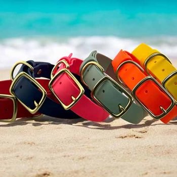 Custom Coated Polyester Dog Collar