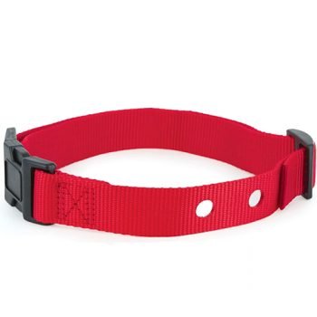Custom Collar Strap