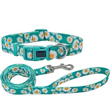 Custom Dog Collar and Leash Set