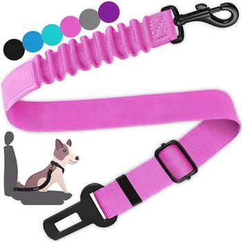 Custom Dog Seat Belt