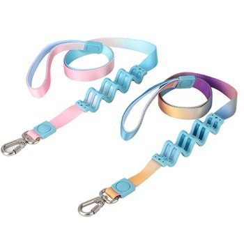 Custom Gradient Color Dog Leash