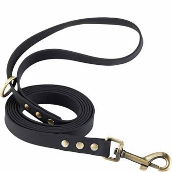 Custom Nylon Waterproof Dog Leash