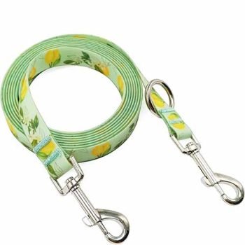 Custom Pattern Waterproof Dog Leash