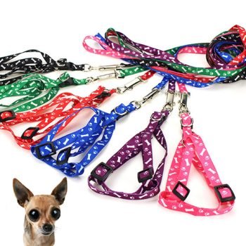 Custom Polyester Pet Leash