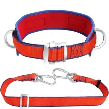 Ladder Safety Harness